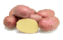 Kartupeļi