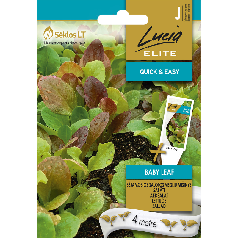 SALĀTI BABY LEAF MIX 4m (LE)
