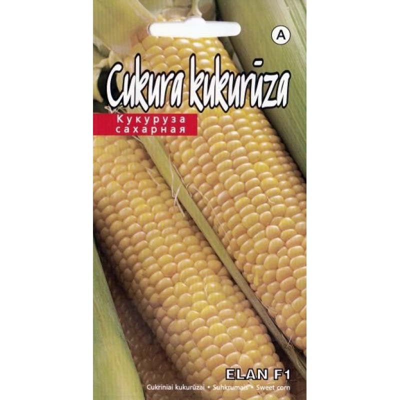 KS Kukurūza Elan F1 5g