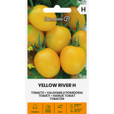 Tomāti YELLOW RIVER H