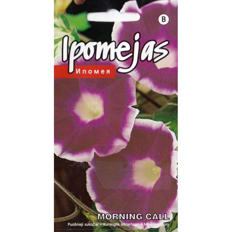 KS Ipomeja Morning Call 1g