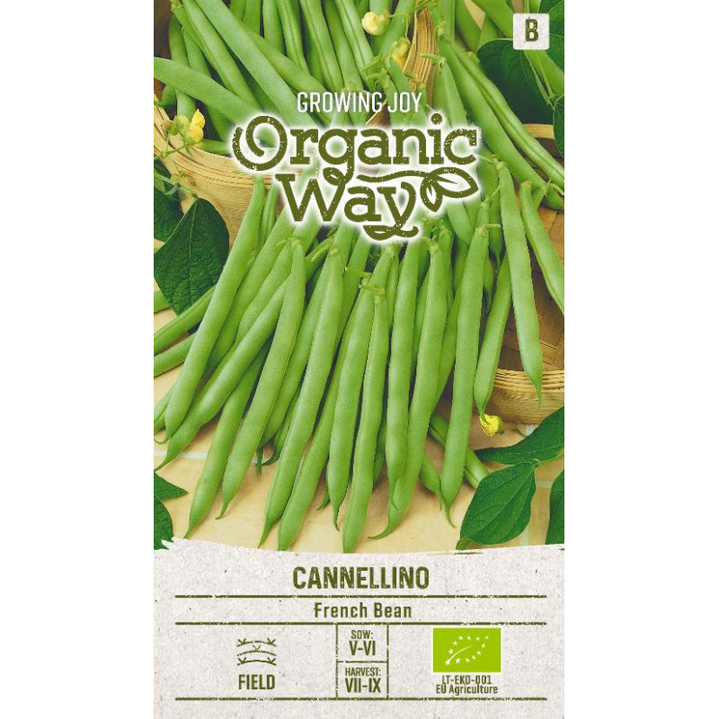 Pupiņas CANNELLINO 7g (OW)