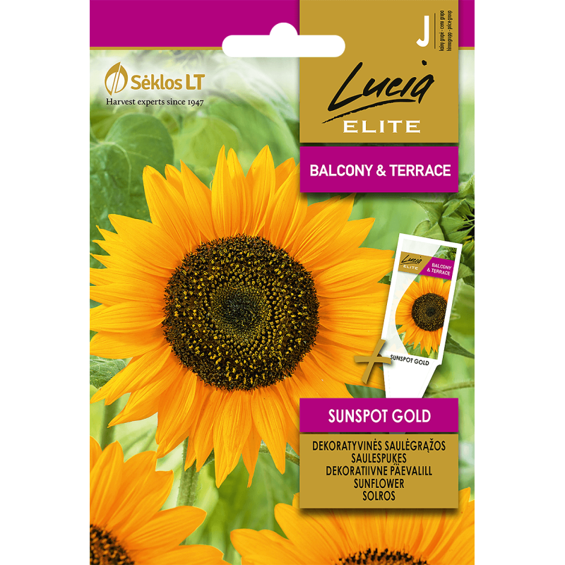 Saulespuķes Sunspot Gold 2g (LE)