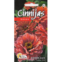 KS Cinnijas BORDEAUX 0.5g