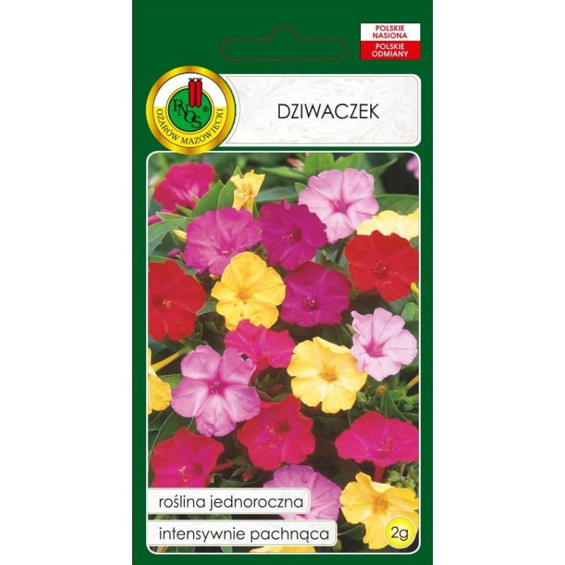 Brīnumpuķe (Mirabilis) 2g