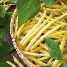 Pupiņas sparģeļu Berggold 100g