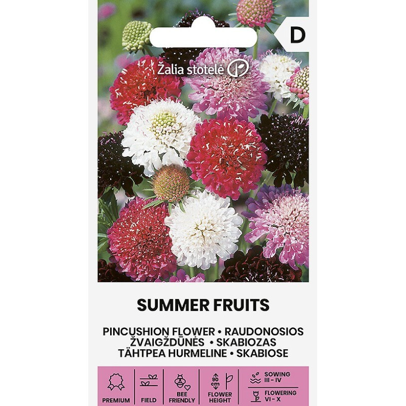 Skabiozas SUMMER FRUITS 30s