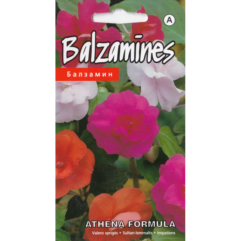 KS Balzamīnes Athena Formula 5s