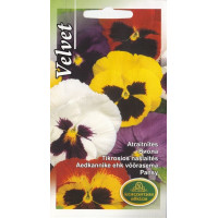KS Atraitnītes Swiss Giants Velvet 0.15g