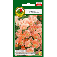 Godēcija lielziedu Orange Glory 1g