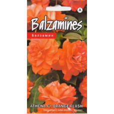 KS Balzamīnes Athena F1 Orange Flash 5s