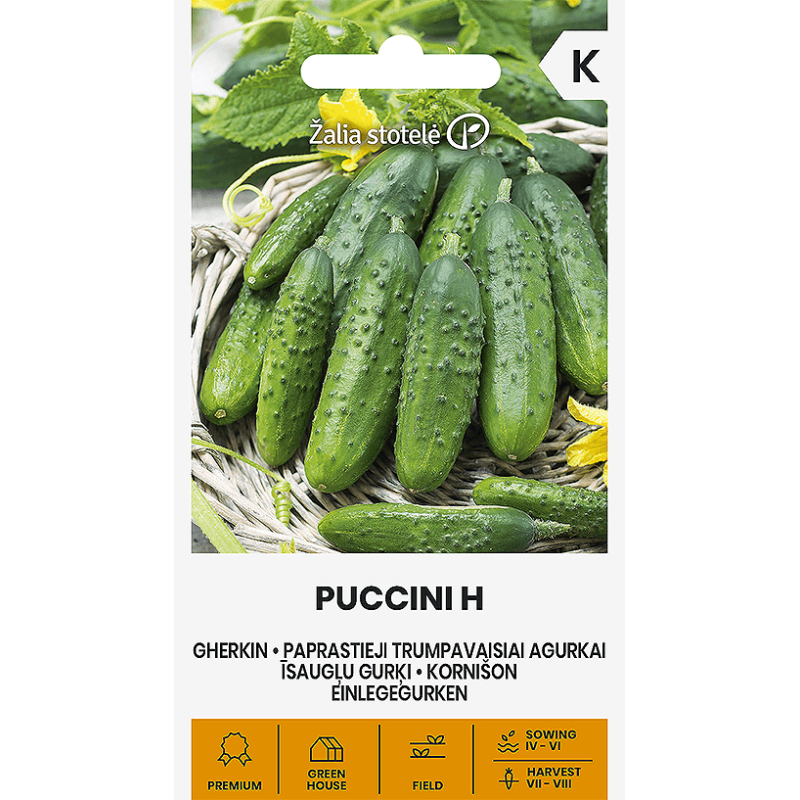 Gurķi PUCCINI H 0.5g