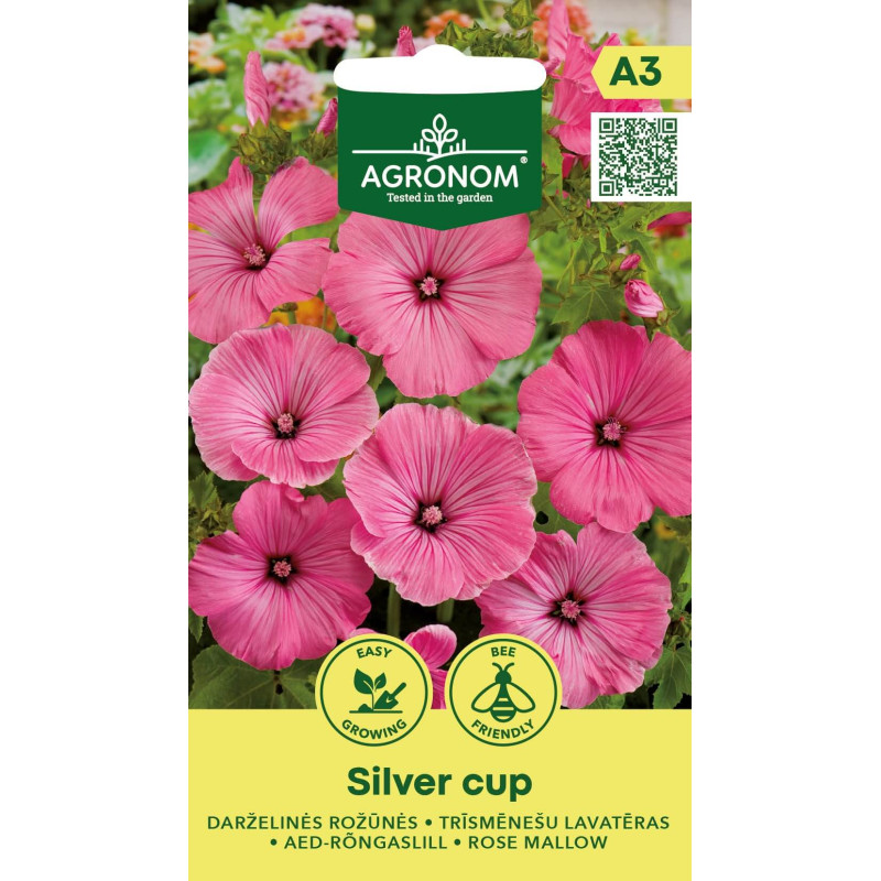Lavatēra trīsmēnešu SILVER CUP 1g (A)