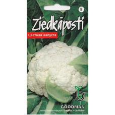 KS Ziedkāposti Goodman 30s