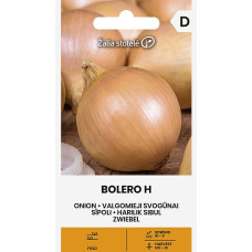 Sīpoli BOLERO H 1g
