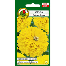 Cinnijas dāliju Golden Dawn 1g