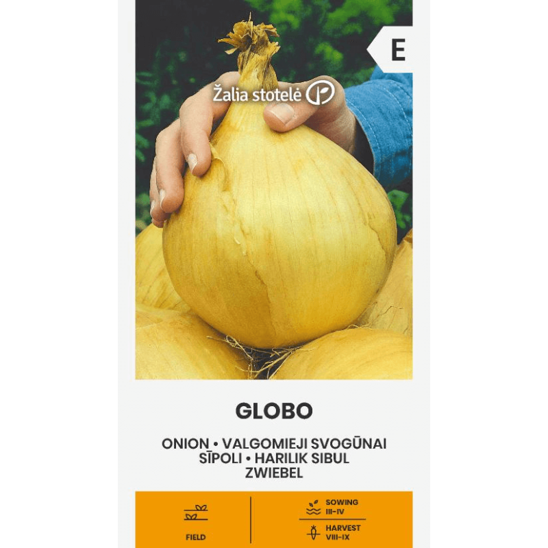 Sīpoli GLOBO 1g