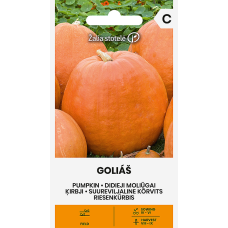 Ķirbji GOLIAŠ 2g