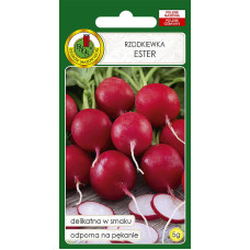 Redīsi ESTER 5g