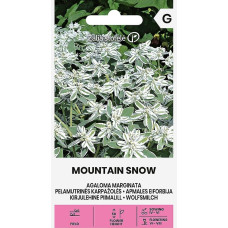 Eiforbija MOUNTAIN SNOW 2g