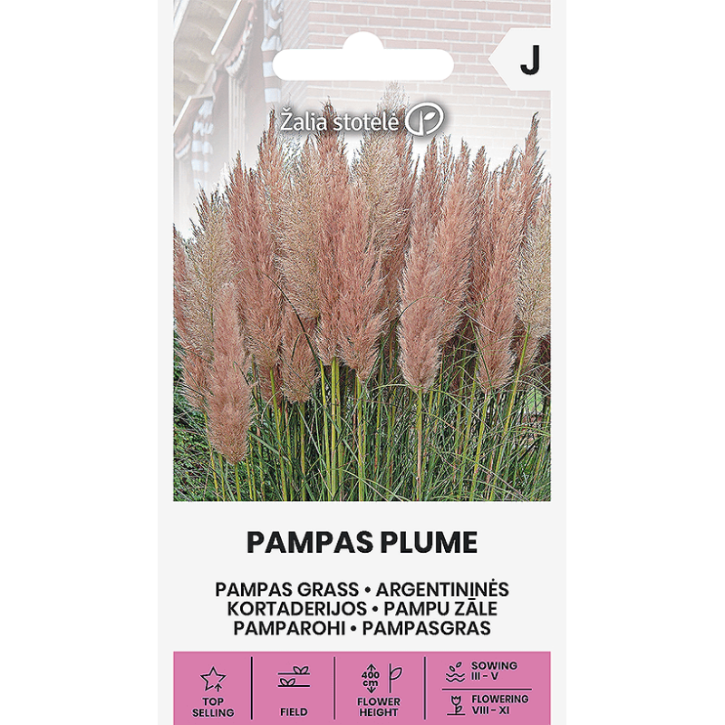 Pampu zāle Pampas Plume Pink 0.2g