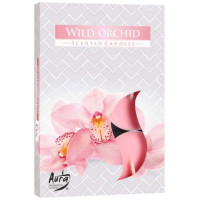 (%) Sveces aromātiskās WILD ORCHID 6gb